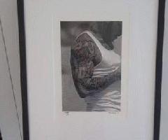 Foto firmada enmarcada de Michael Gora. Tatuaje muscular