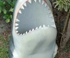Fibra de vidrio Gran tiburón blanco