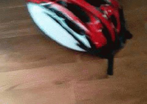 Casco de bicicleta pequeño para jóvenes