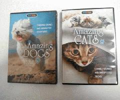 Increíbles Gatos Perros 2 DVDs