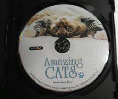Increíbles Gatos Perros 2 DVDs