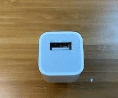 Apple OEM 5W Adaptador de corriente USB Cargador de pared iPhone