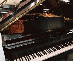 Steinway M Piano de Cola-Envío GRATIS