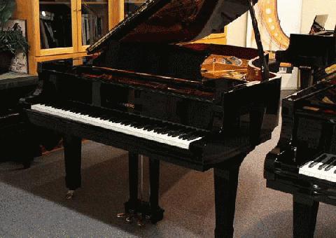 Wilhelm Steinburg 212 Piano de Cola - Envío GRATIS