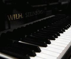 Wilhelm Steinburg 212 Piano de Cola - Envío GRATIS