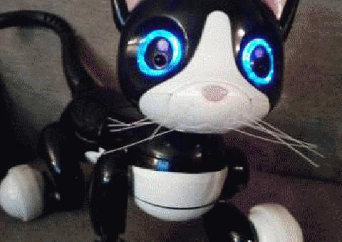  Robot Gato Zoomer Kitty Spin Master Juguete Robótico Interactivo