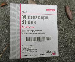 AmScopeKids Juego de Microscopio de 52 Piezas 1200X